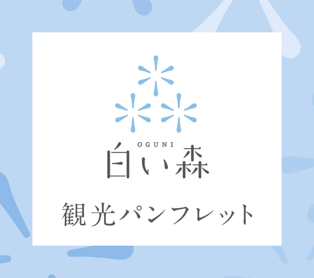 観光パンフレット