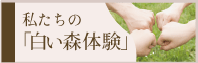 私たちの「白い森体験」