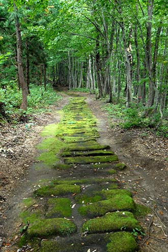 黒沢峠の敷石道の画像