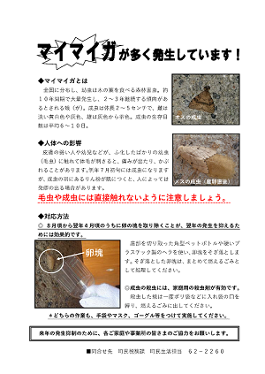 チラシの写真