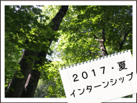 2017年夏インターンシップの画像