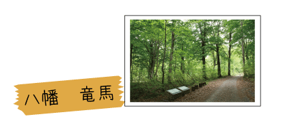 八幡竜馬ページへの画像