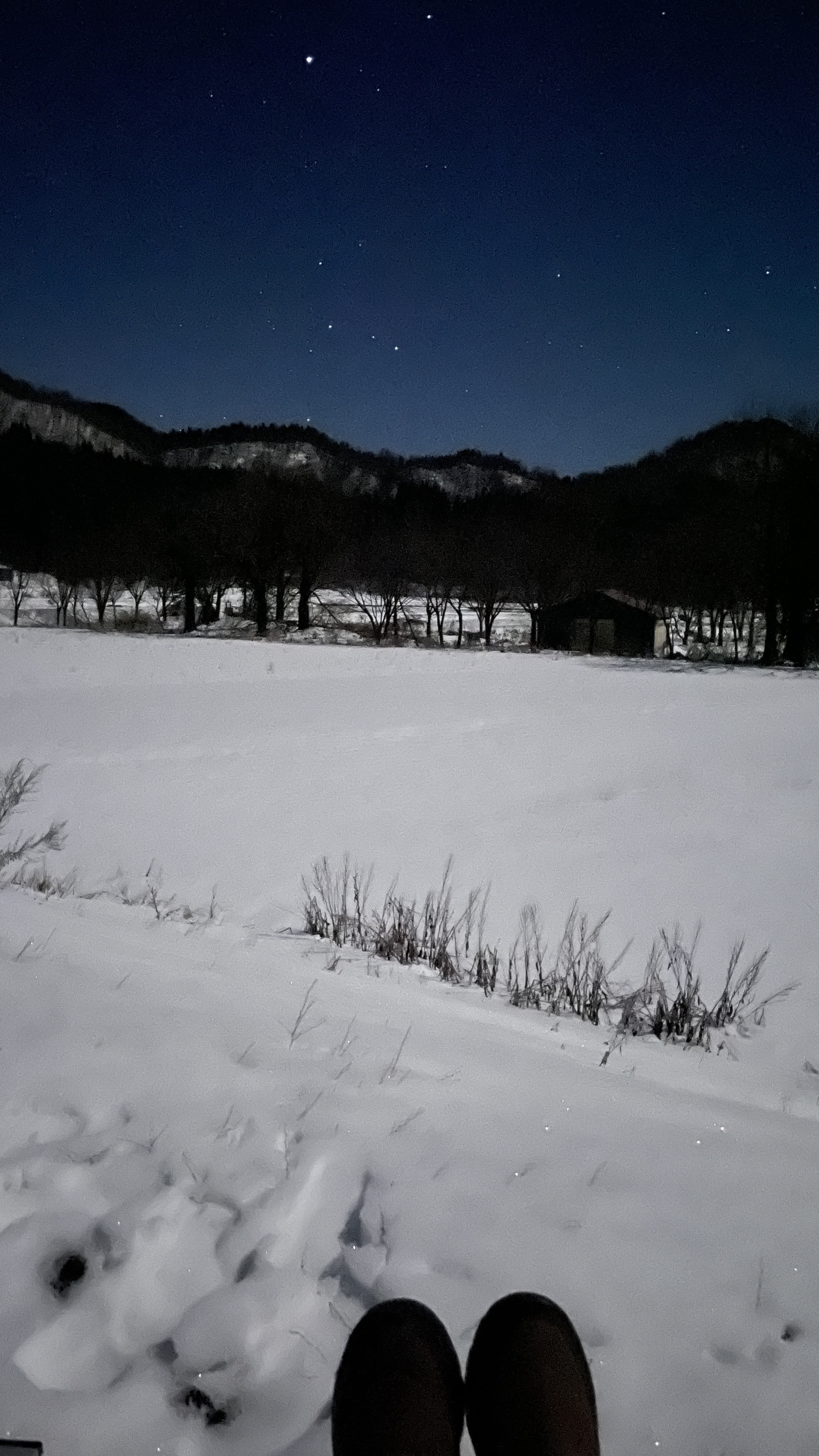 星空と私の足の写真