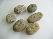 凹石（くぼみいし）の画像