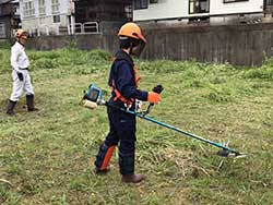 緑のふるさと協力隊千田さんの令和元年7月の活動写真