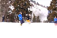 地域おこし協力隊吉田さんの令和元年4月の活動写真