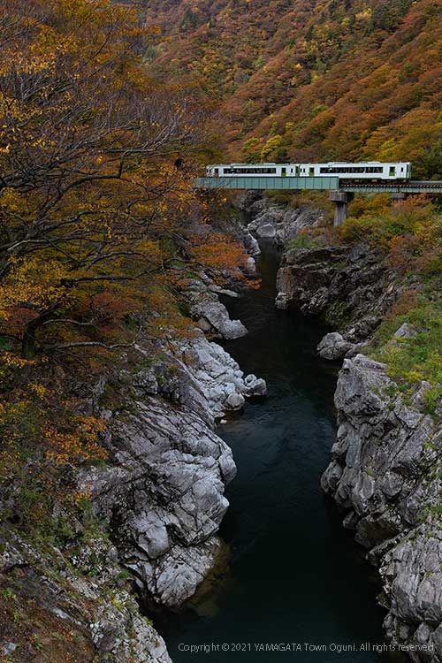 入選作品「紅葉の渓谷列車」
