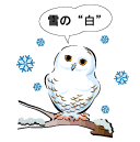 白いフクロウのイラスト