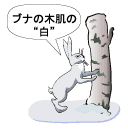 ウサギのイラスト