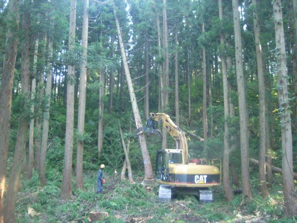 林業についての写真