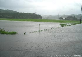 水路の増水により冠水した湯の花地内の水田の写真