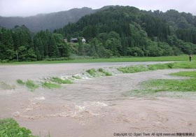 濁流に襲われる舟渡地内の水田の写真