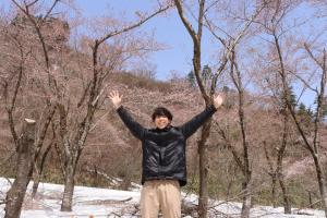 雪上桜の写真