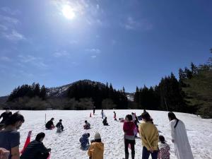雪中りんごの宝探しの写真