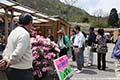 第20回おぐに石楠花まつりの写真