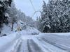 記録的豪雪が発生