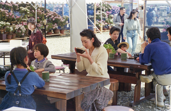 裏表紙