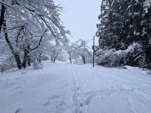 雪道