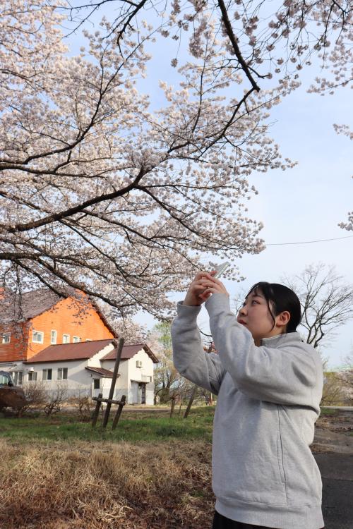 表紙写真