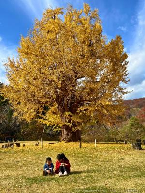町民の部優秀賞