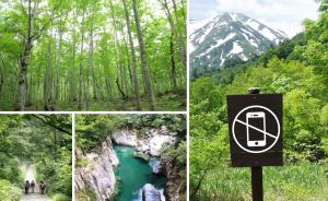 森林サービス産業部門