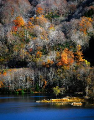 晩秋の湖畔