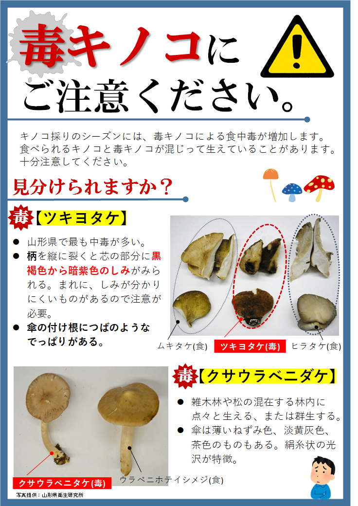 毒キノコにご注意ください。