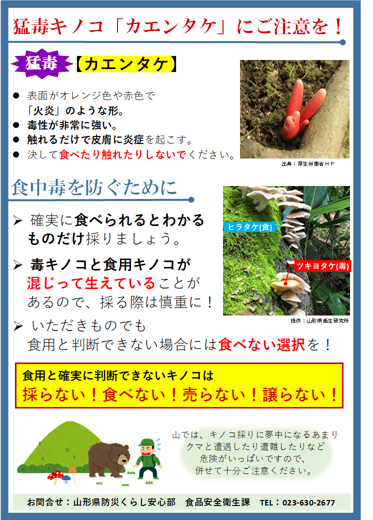 猛毒キノコ「カエンタケ」にご注意を！