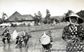 越戸美人の田植え風景の写真