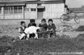 子ヤギと遊ぶ子どもたちの写真