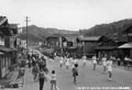 交通安全運動パレード（本町通り）の写真