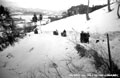 横根山からの木出しの写真