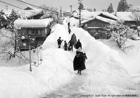小国大橋の写真