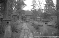 大宮神社の写真