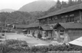 玉川小学校の写真