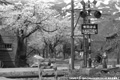 小国町地内の町並み(田沢頭踏切付近)の写真