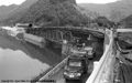 道路改良工事中の赤芝の写真