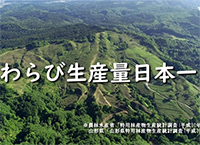 CMワンシーンワラビ生産日本一の風景
