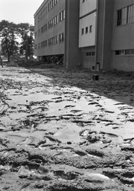 横川べり位置した小学校の写真