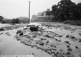 山から流れ出た土砂で埋め尽くされた小坂町地内の国道113号の写真