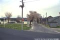 西地内の町並みの写真