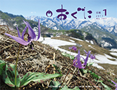 2017年1月号表紙