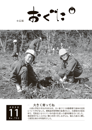 2020年11月号表紙