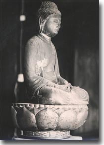 済広寺の阿弥陀如来像の画像