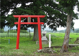 笹生代官屋敷跡の画像